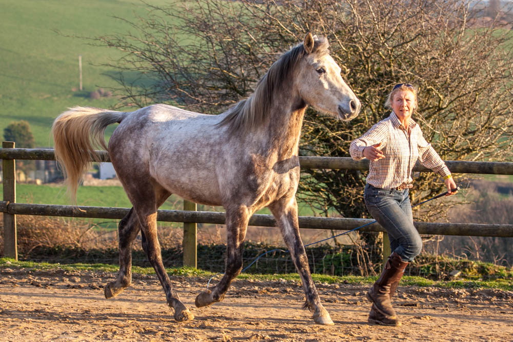 Schooling Khan.