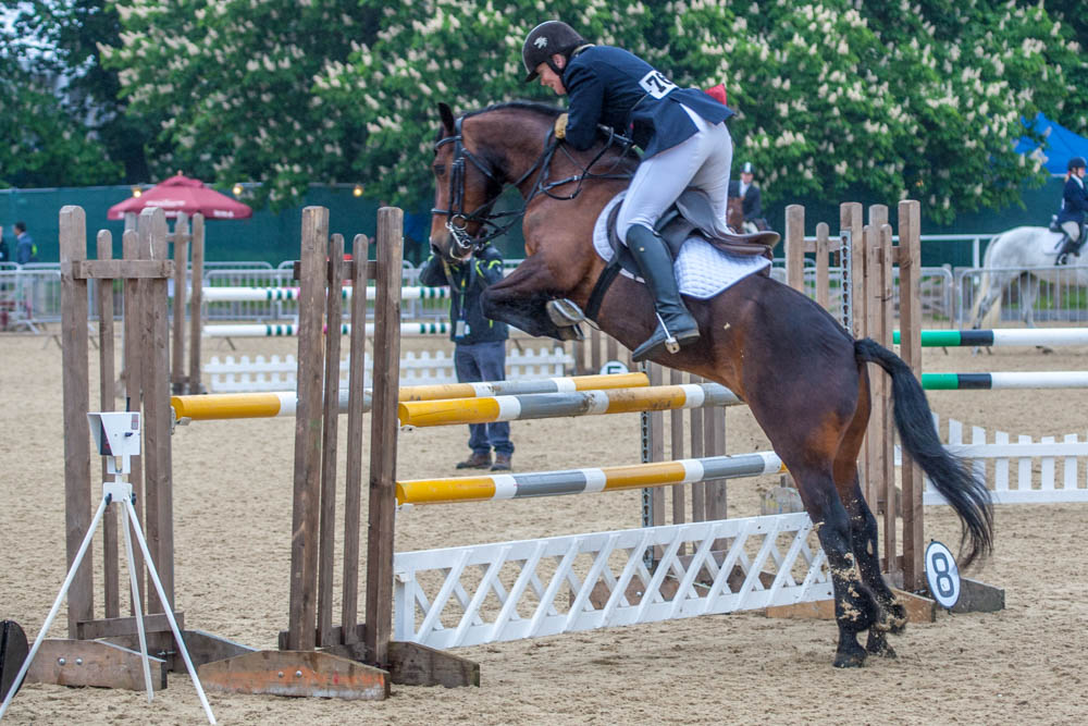 Royal WIndsor Horse Show.