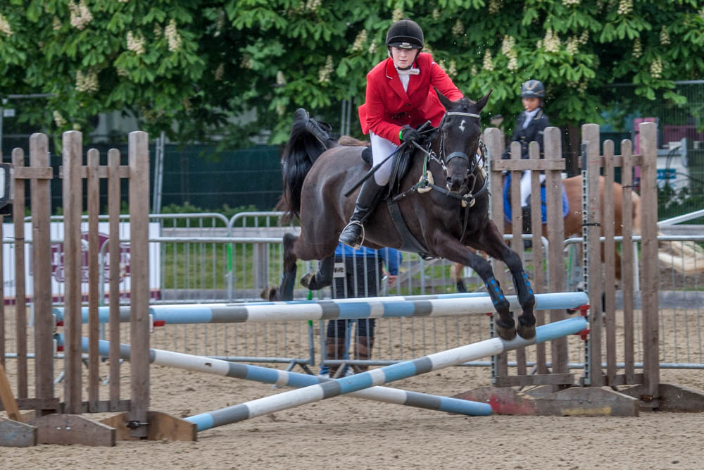 The Royal Windsor Horse Show.