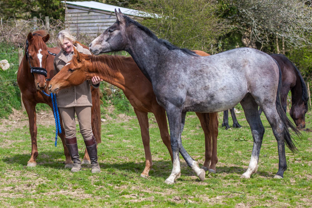 Perseus with his friends.