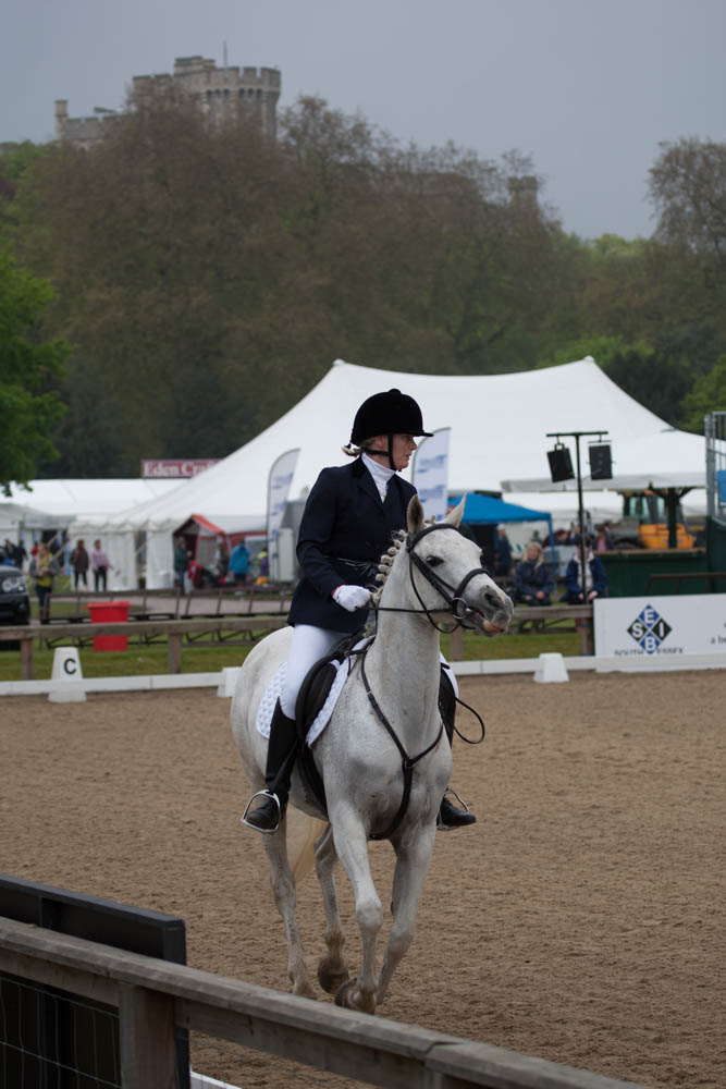 Royal WIndsor Horse Show.