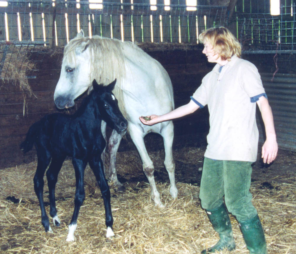A newborn Rainbow and mum Christmas.
