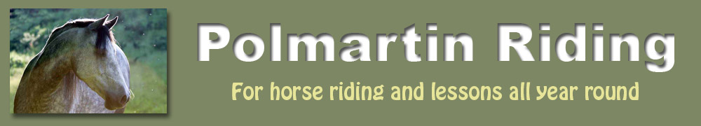 Polmartin Riding Equestrian Site.