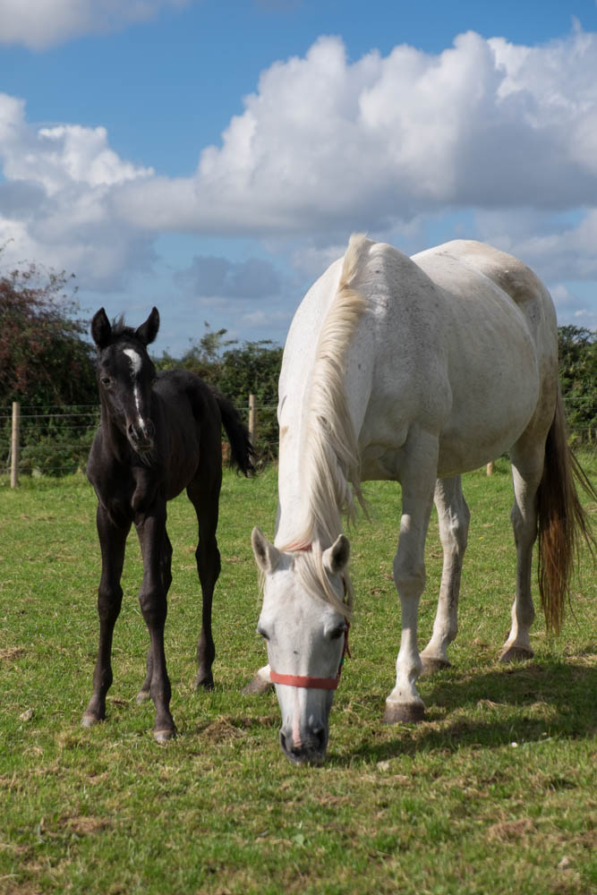 George and Mum.