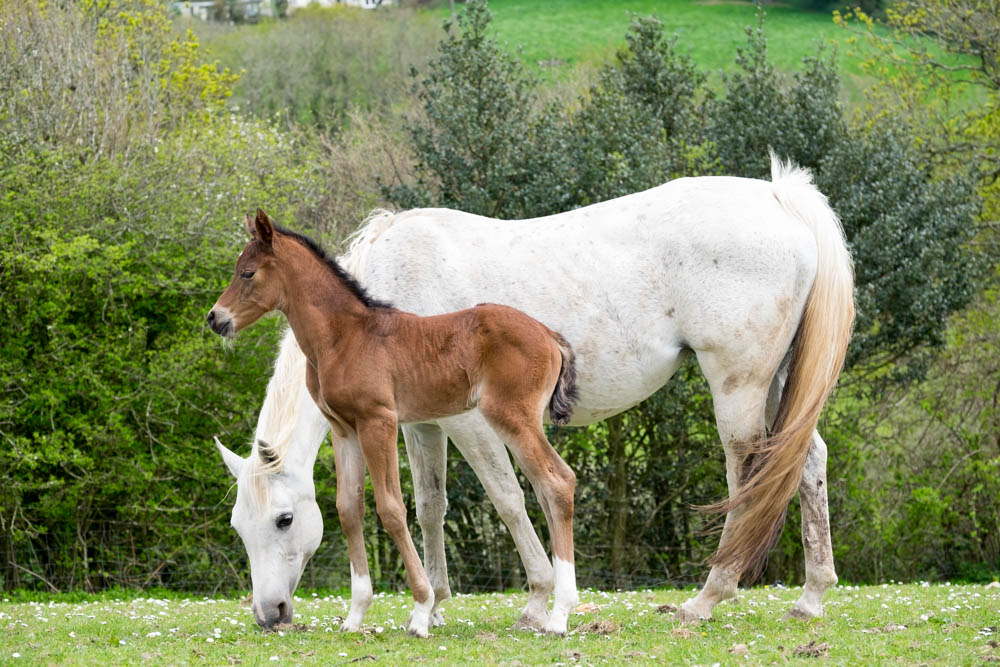 Aurora and mum Rain.