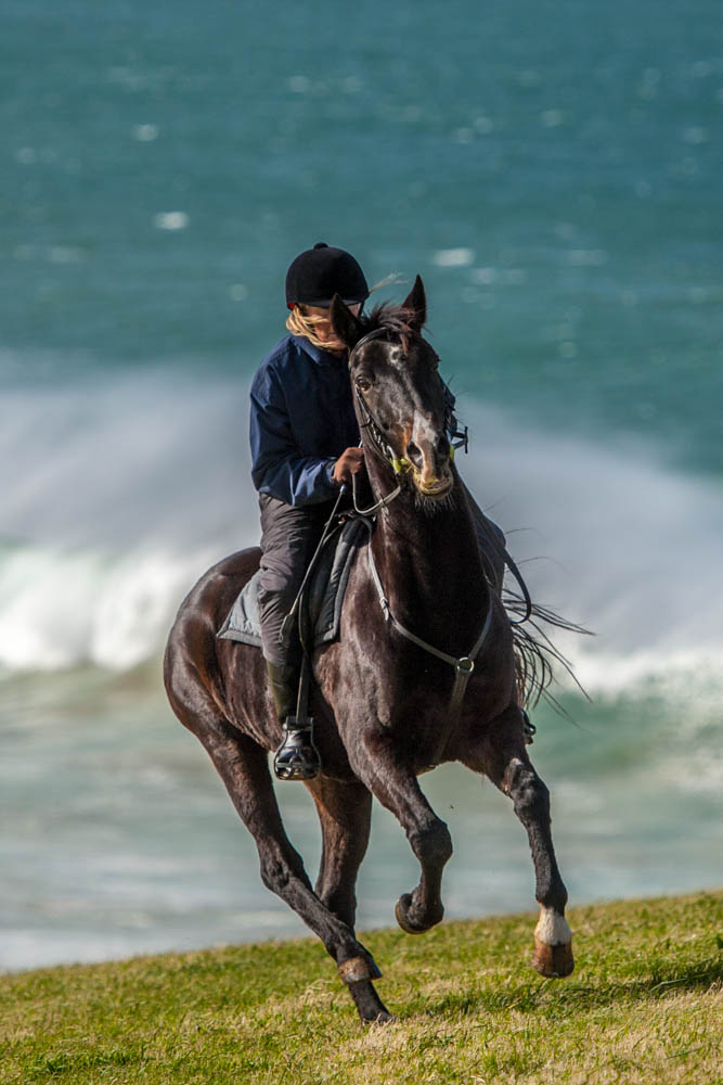 Kowloon and Jane on location on the cliff tops.